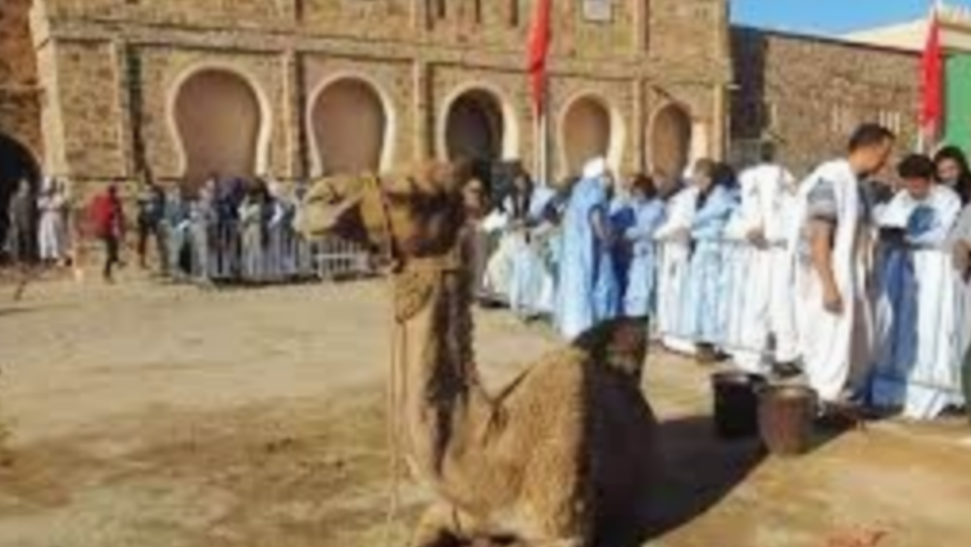 وفد قبيلة الركيبات عن السمارة يزور أسا لحضور “ملكى الصالحين”