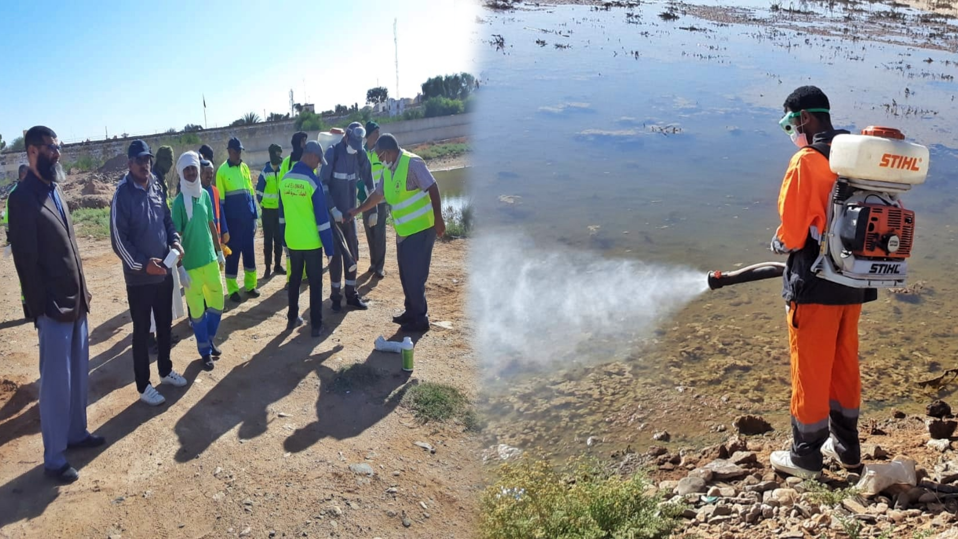 بالصور.. جماعة السمارة تطلق حملات مركزة لرش المبيدات بضواحي المدينة