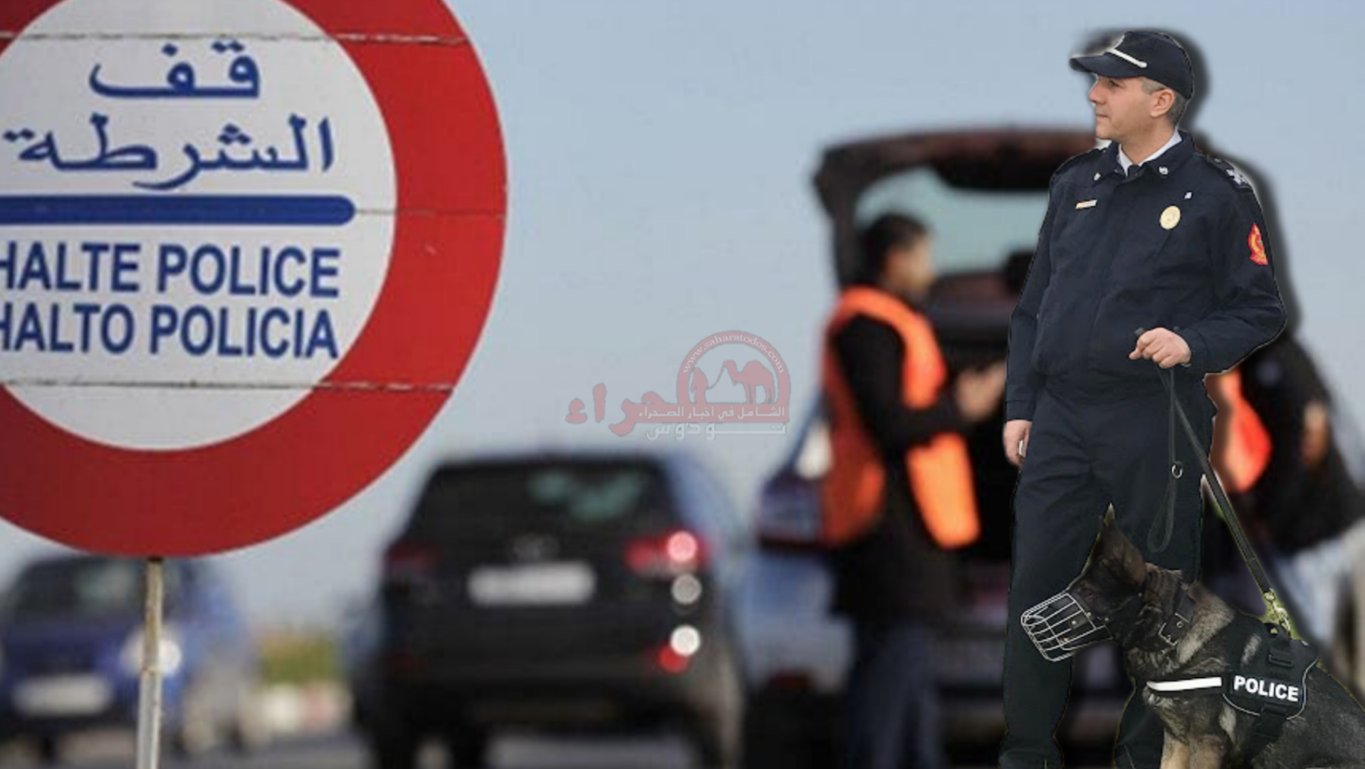 الكلاب المدربة للشرطة تطيح بإمرأة بحوزتها 27 كلغ من المخدرات بالعيون