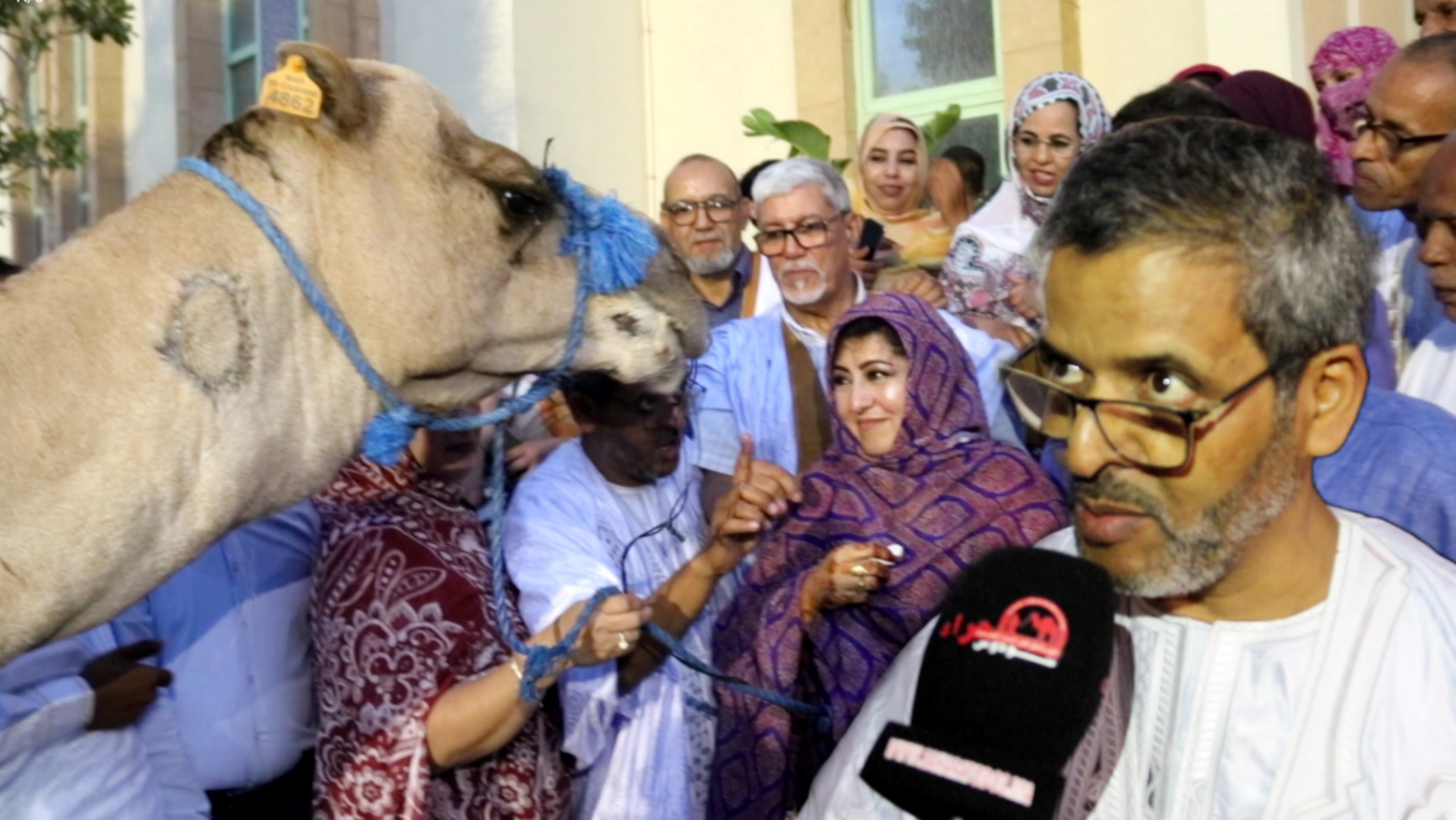 الكهل: “تعركيبة بشرى” تكريم لأيقونة السلامة الطرقية بالصحراء(فيديو)