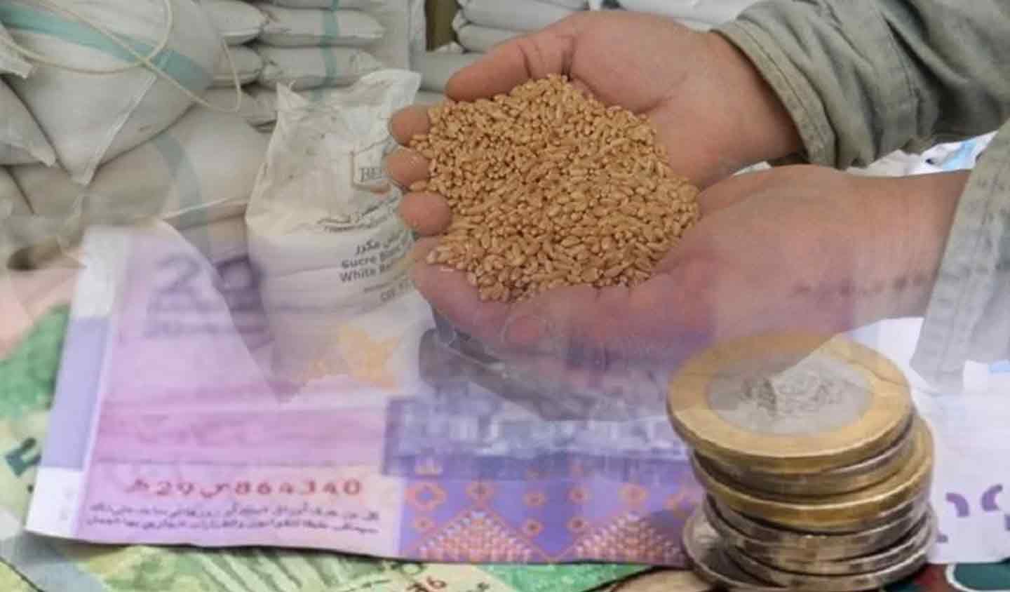 المجلس العلمي الأعلى يحدد زكاة الفطر بالمغرب في 23 درهما للفرد